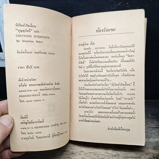 นิยายโรมานซ์ รักในหัวใจเถื่อน รูปที่ 6