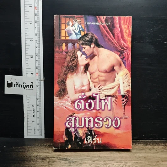 นิยายโรมานซ์ ดั่งไฟสุมทรวง รูปที่ 1