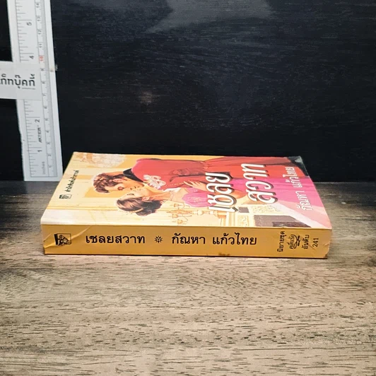 นิยายโรมานซ์ เชลยสวาท รูปที่ 3