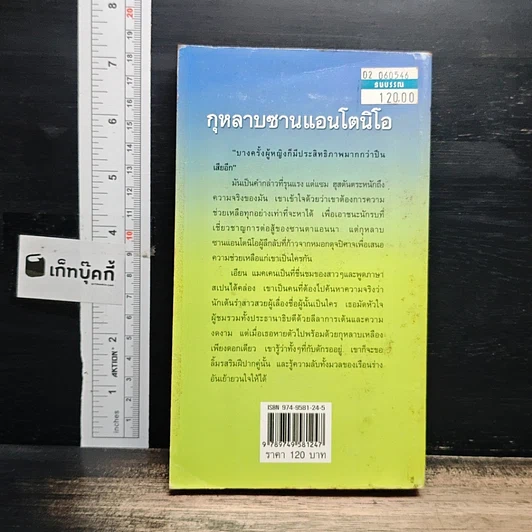 หนังสือ นิยายโรมานซ์ กุหลาบซานแอนโตนิโอ รูปที่ 2
