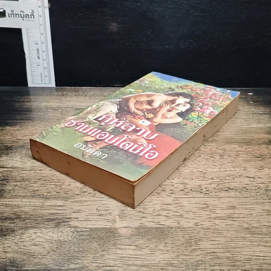 หนังสือ นิยายโรมานซ์ กุหลาบซานแอนโตนิโอ รูปที่ 4