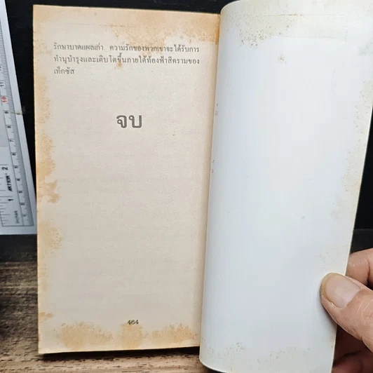 หนังสือ นิยายโรมานซ์ กุหลาบซานแอนโตนิโอ รูปที่ 8