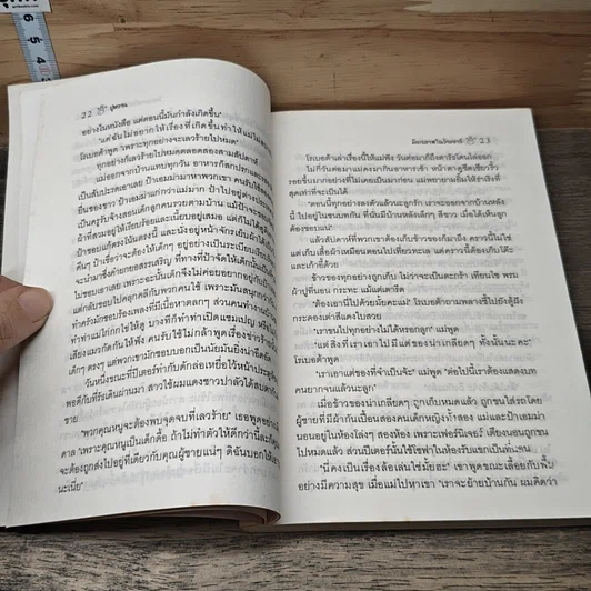 มิตรภาพในวัยเยาว์ รูปที่ 8