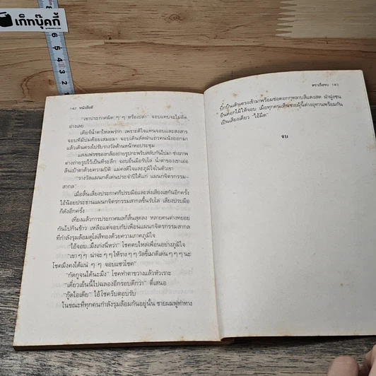 หนังสือ เด็กศิลป์แต้มสีให้ฟ้าสวย รูปที่ 8