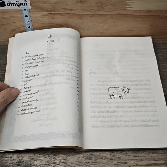 หนังสือ การเดินทางของความรู้สึกสวยๆ รูปที่ 7