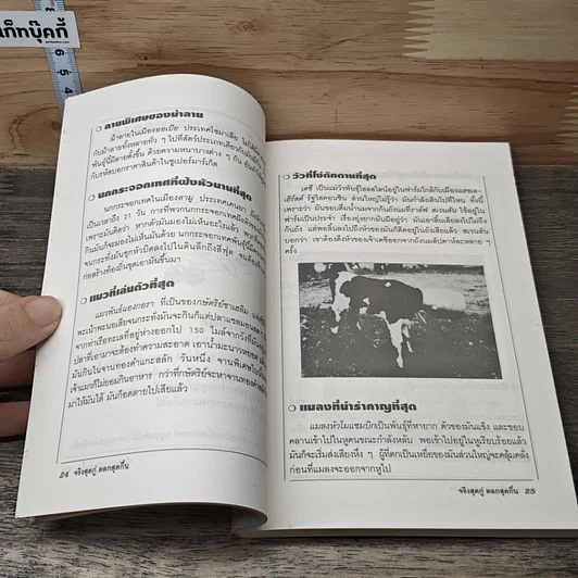 จริงสุดกู่ ตลกสุดกึ๋น รูปที่ 7