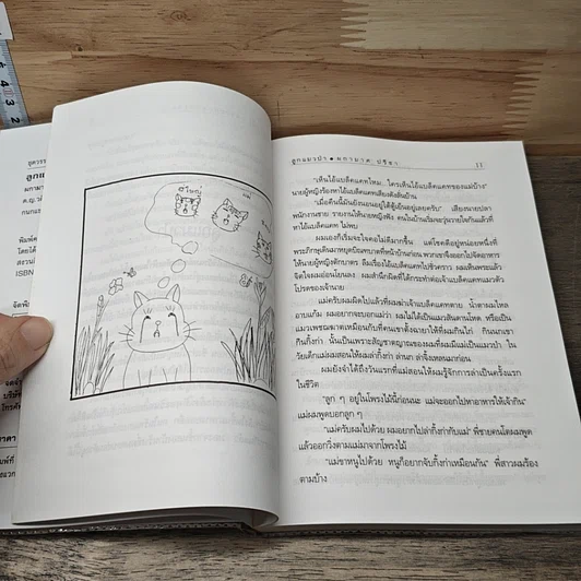 หนังสือ ลูกแมวป่า รูปที่ 7