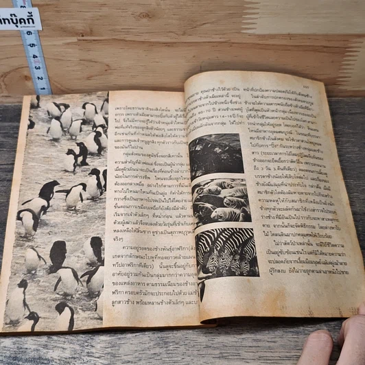 หนังสือ นิมิตพิศวง ปีที่ 1 ฉบับที่ 3 รูปที่ 8