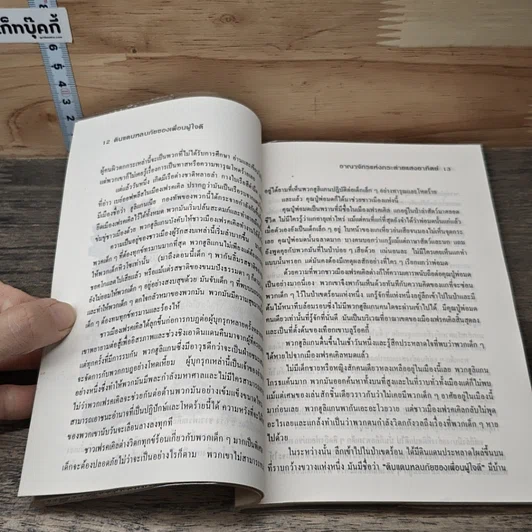 หนังสือ อาณาจักร แห่ง กระต่ายแสงอาทิตย์ รูปที่ 7