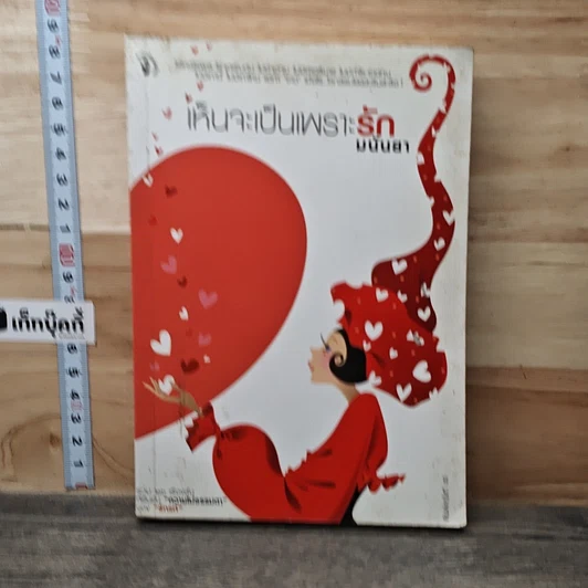 หนังสือ เห็นจะเป็นเพราะรัก รูปที่ 1