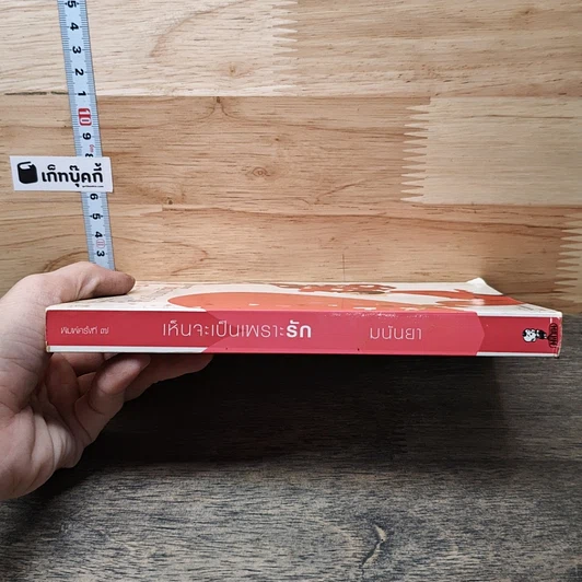 หนังสือ เห็นจะเป็นเพราะรัก รูปที่ 2