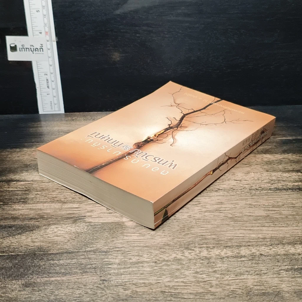หนังสือ ตอบดร.มาร์ติน : พุทธวินัยถึงภิกษุณี รูปที่ 5