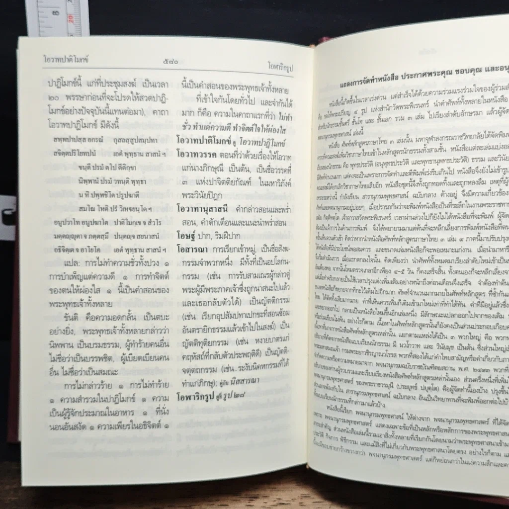พจนานุกรมพุทธศาสน์ ฉบับประมวลศัพท์ รูปที่ 11