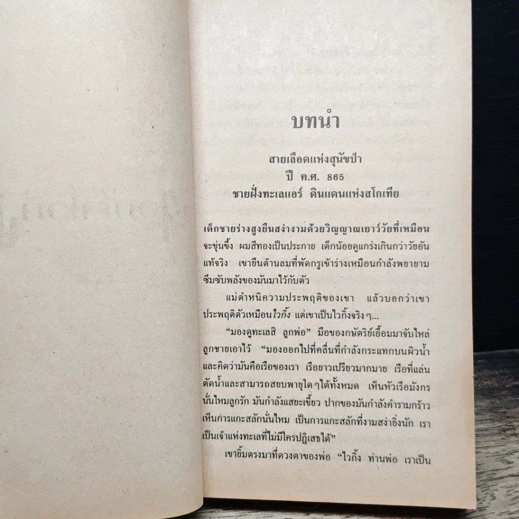 จอมใจไวกิ้ง รูปที่ 7