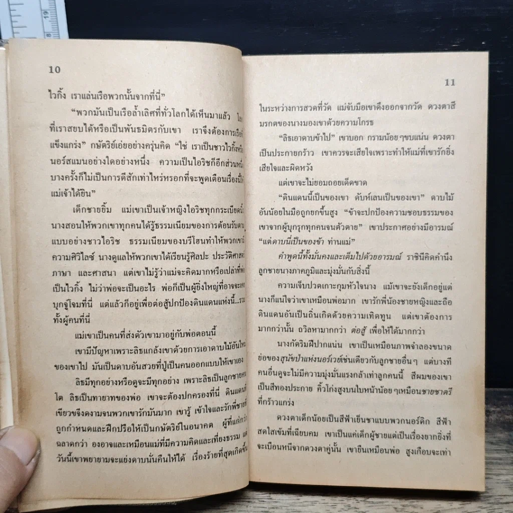 จอมใจไวกิ้ง รูปที่ 8
