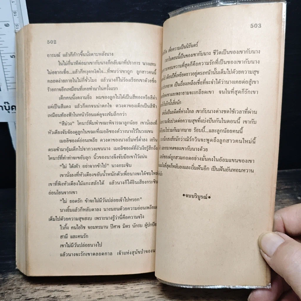 จอมใจไวกิ้ง รูปที่ 9