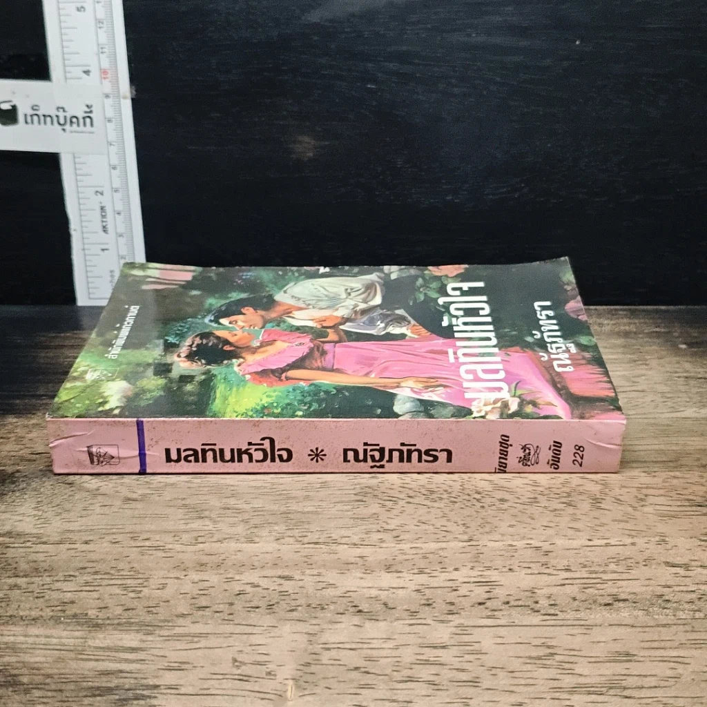นิยายโรมานซ์ มลทินหัวใจ รูปที่ 3