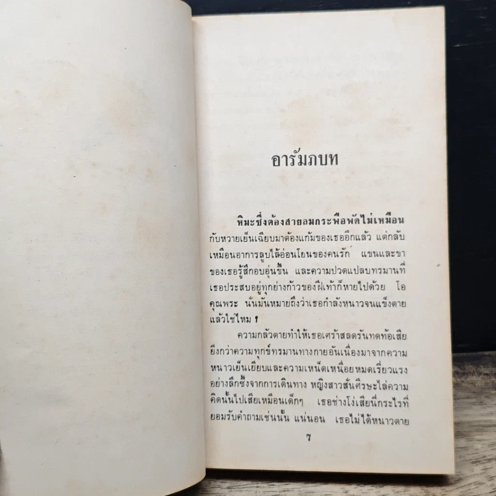 นิยายโรมานซ์ ฝันนั้นนิรันดร รูปที่ 8