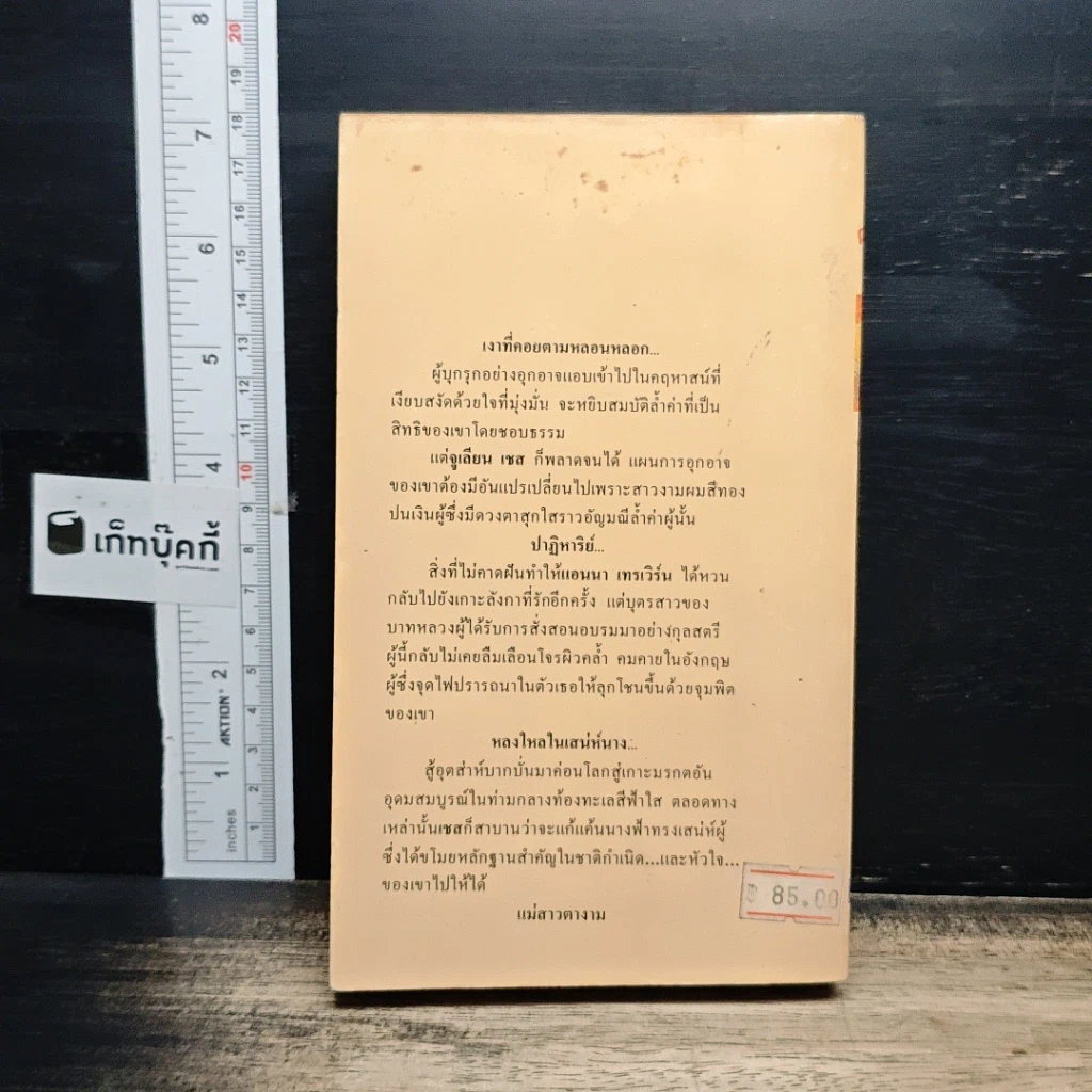 นิยายโรมานซ์ ตามนาง รูปที่ 2