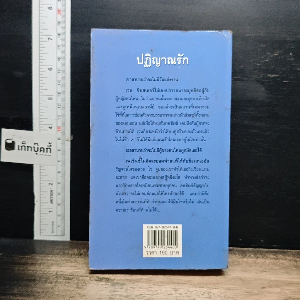 นิยายโรมานซ์ ปฏิญาณรัก รูปที่ 2