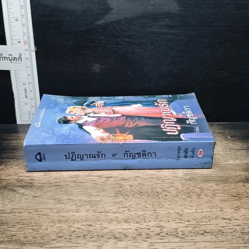 นิยายโรมานซ์ ปฏิญาณรัก รูปที่ 3