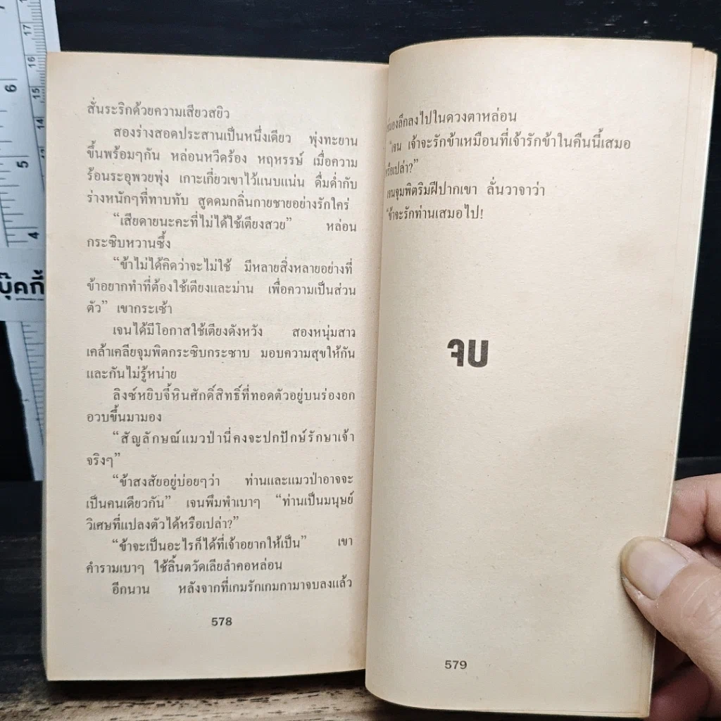 นิยายโรมานซ์ ทิวาถวิล รูปที่ 8