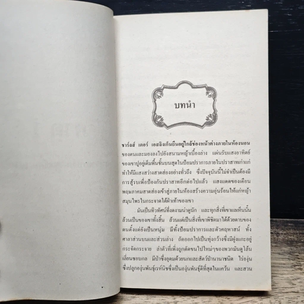 นิยายโรมานซ์ ฟ้าลิขิต รูปที่ 7