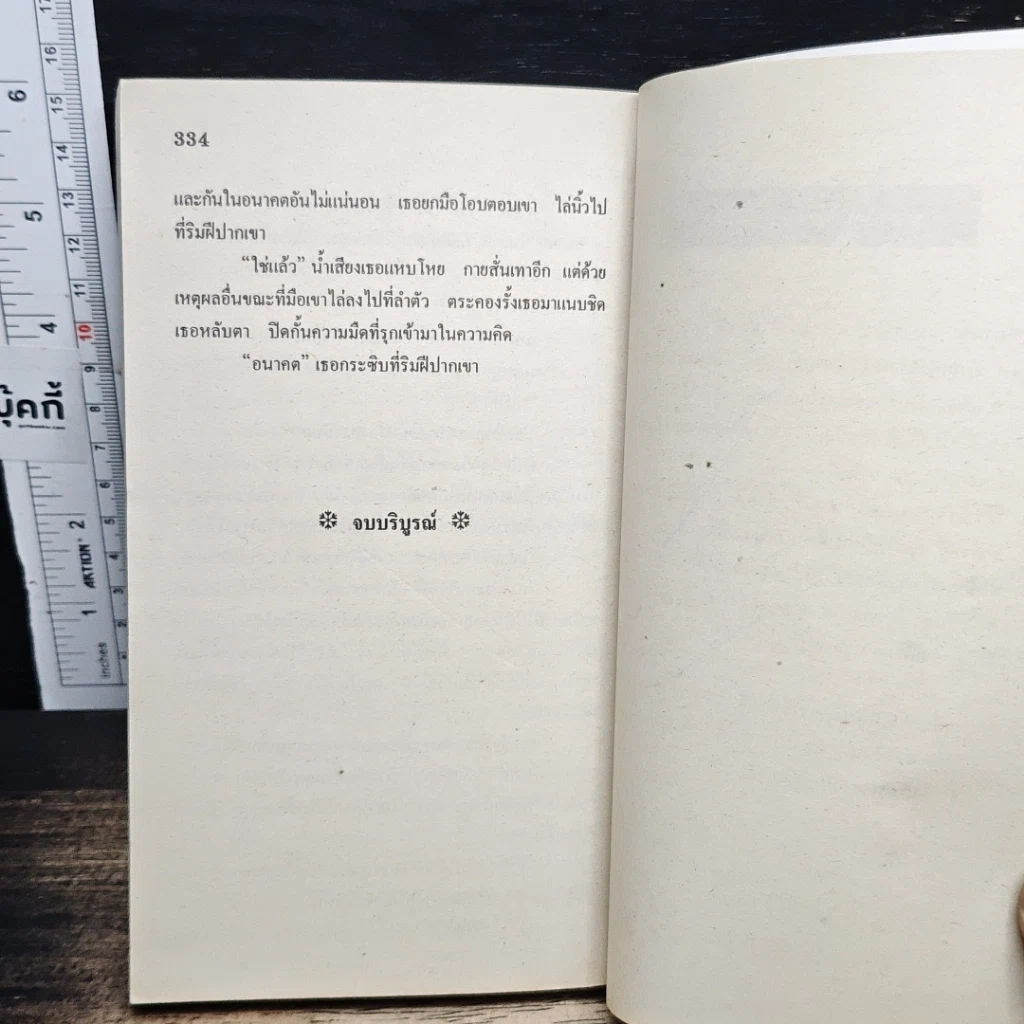 นิยายโรมานซ์ รักในสายหมอก รูปที่ 8
