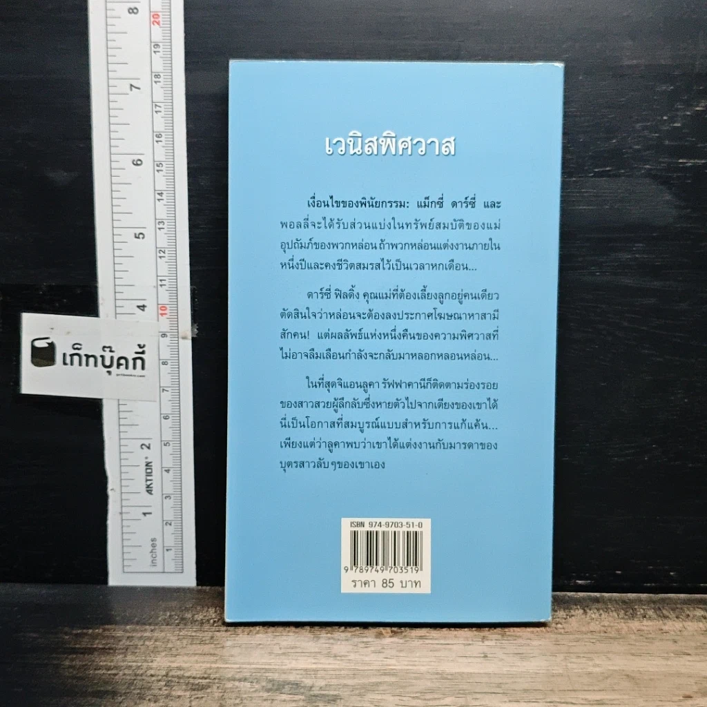 หนังสือ นิยายโรมานซ์ นวนิยายชุด ชายในฝัน เวนิสพิศวาส รูปที่ 2