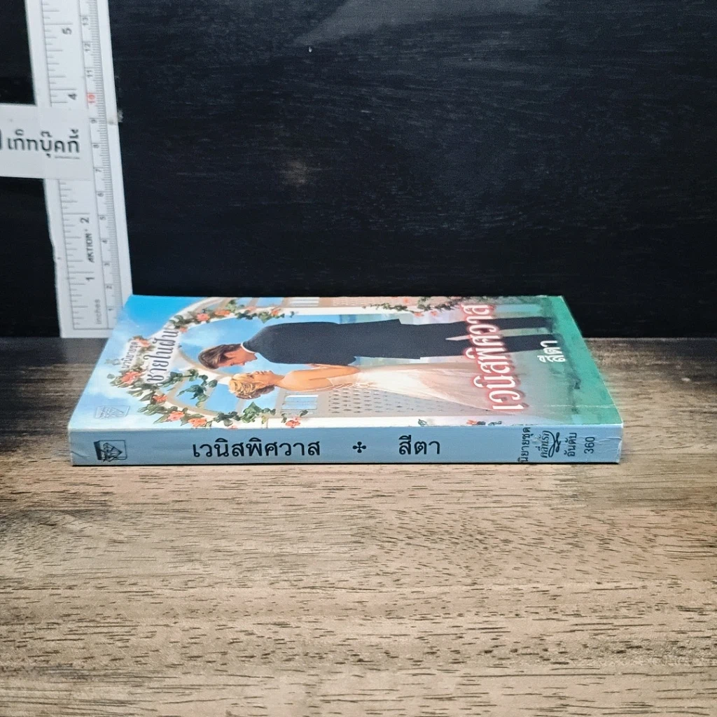 หนังสือ นิยายโรมานซ์ นวนิยายชุด ชายในฝัน เวนิสพิศวาส รูปที่ 3