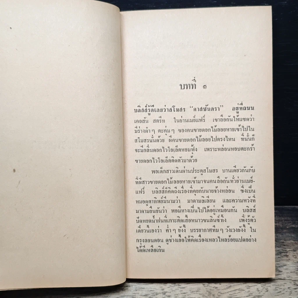 หนังสือ นิยายโรมานซ์ วิวาห์เงินตรา รูปที่ 7