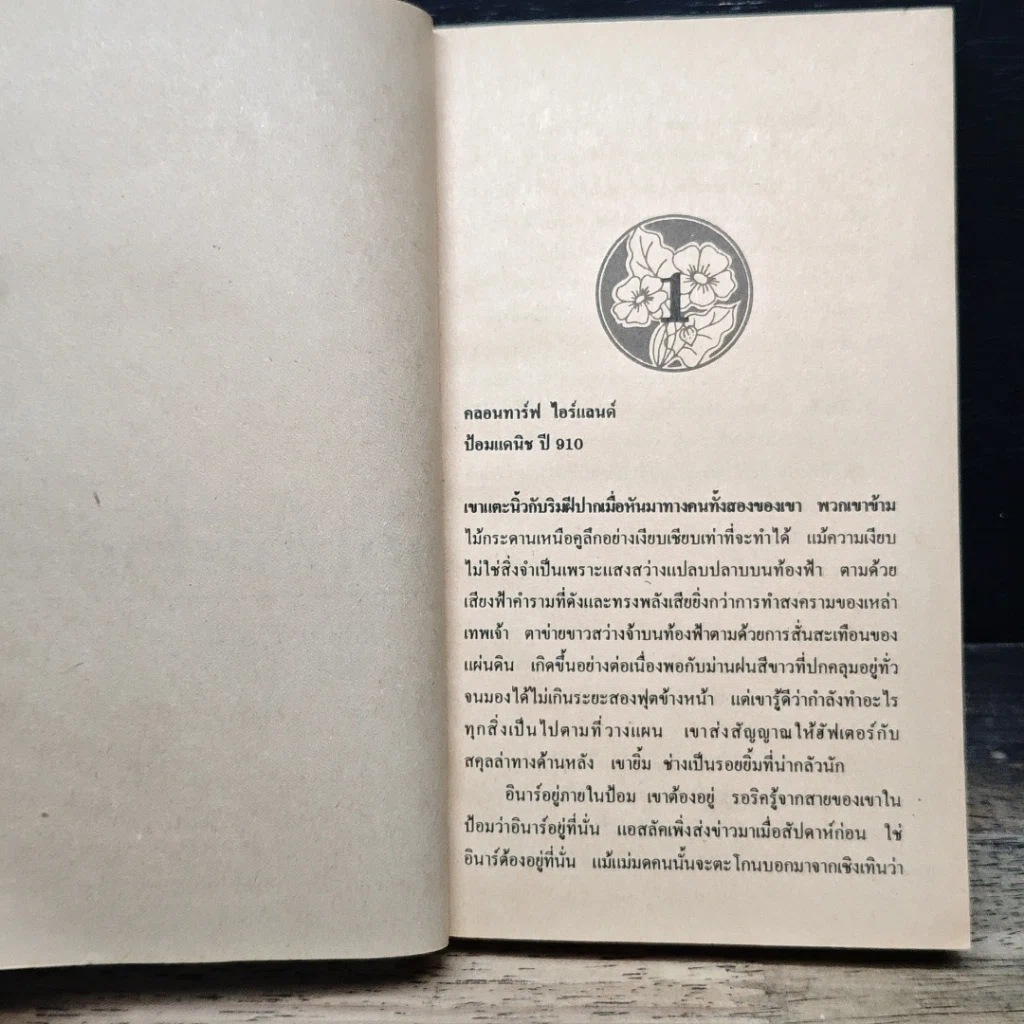 นิยายโรมานซ์ จอมทัพไวกิ้ง รูปที่ 7