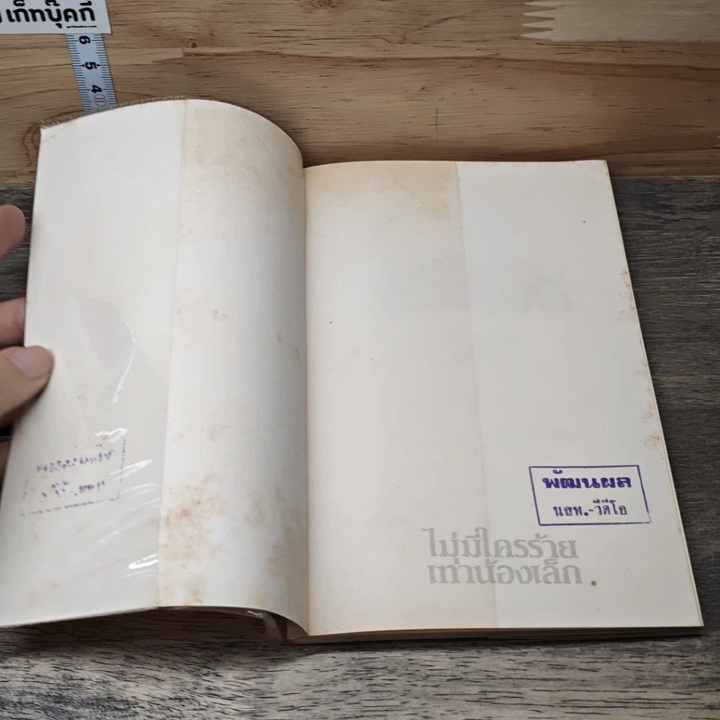 หนังสือ ไม่มีใครร้ายเท่าน้องเล็ก รูปที่ 6
