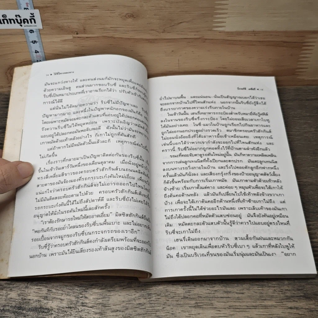 ไอ้ซี่โครงหลงทาง รูปที่ 7