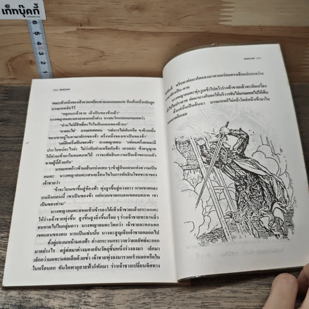 ราชินีหิมะ รูปที่ 8