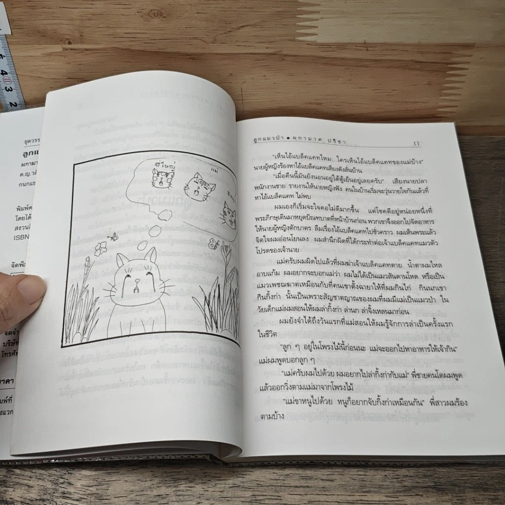 หนังสือ ลูกแมวป่า รูปที่ 7