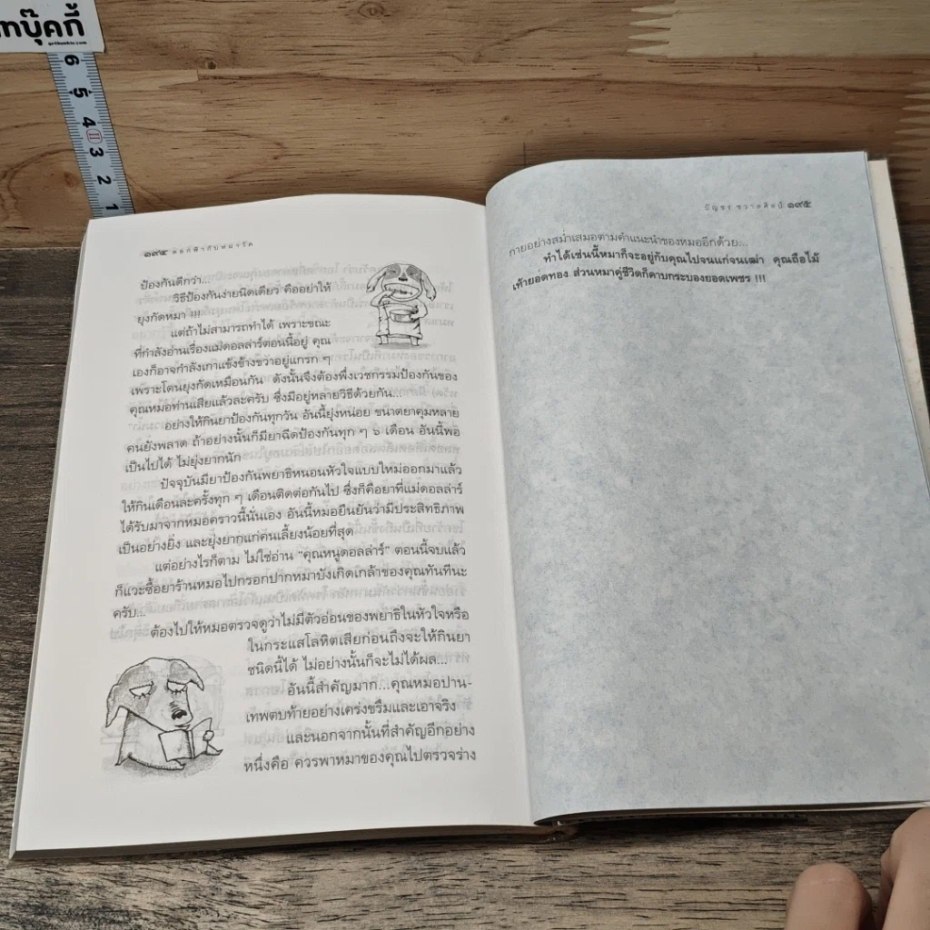 หนังสือ ดอกฟ้ากับหมาวัด (หมารักคนครอก 2) รูปที่ 9