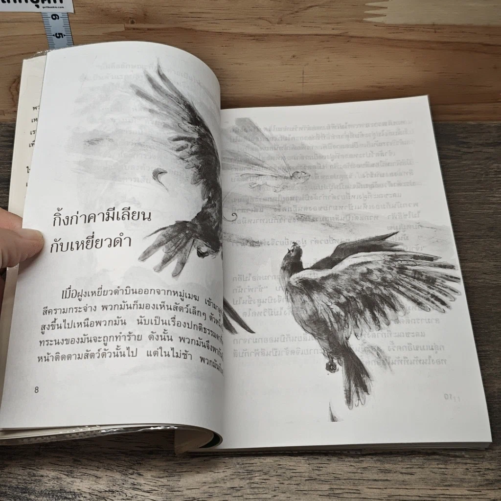 หนังสือ นิทานเลโอนาร์โด ดาวินซี 2 รูปที่ 8