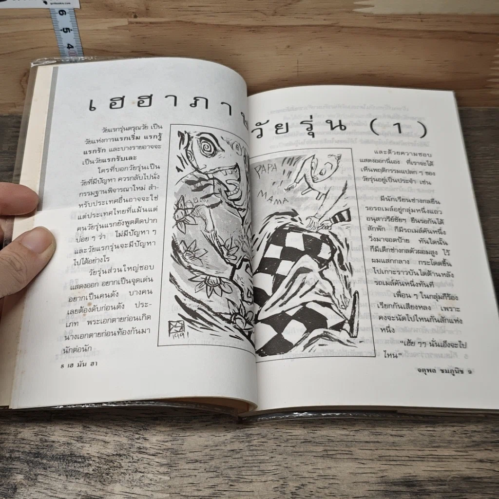 หนังสือ เฮมันฮา รูปที่ 6