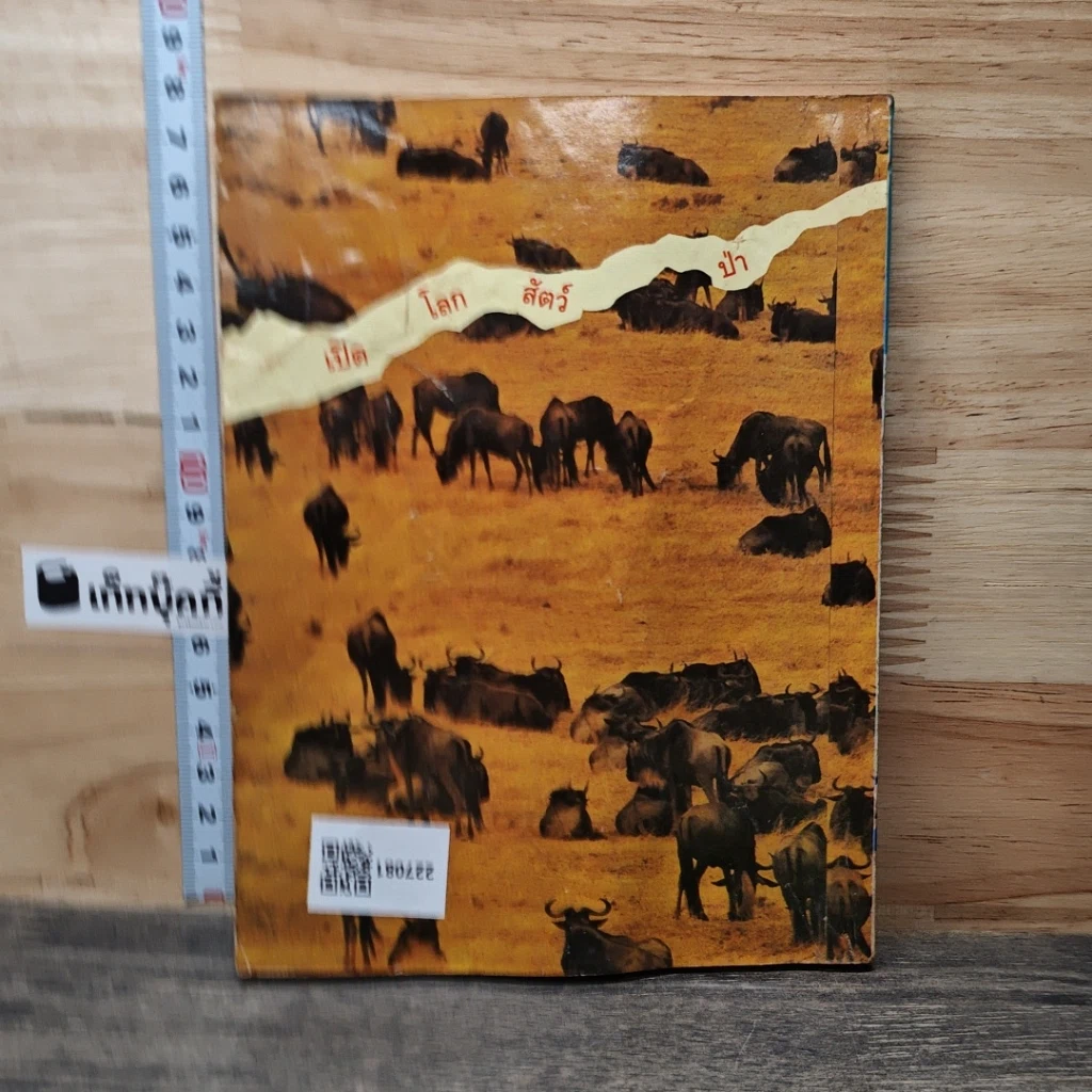 หนังสือ นิมิตพิศวง ปีที่ 1 ฉบับที่ 3 รูปที่ 5