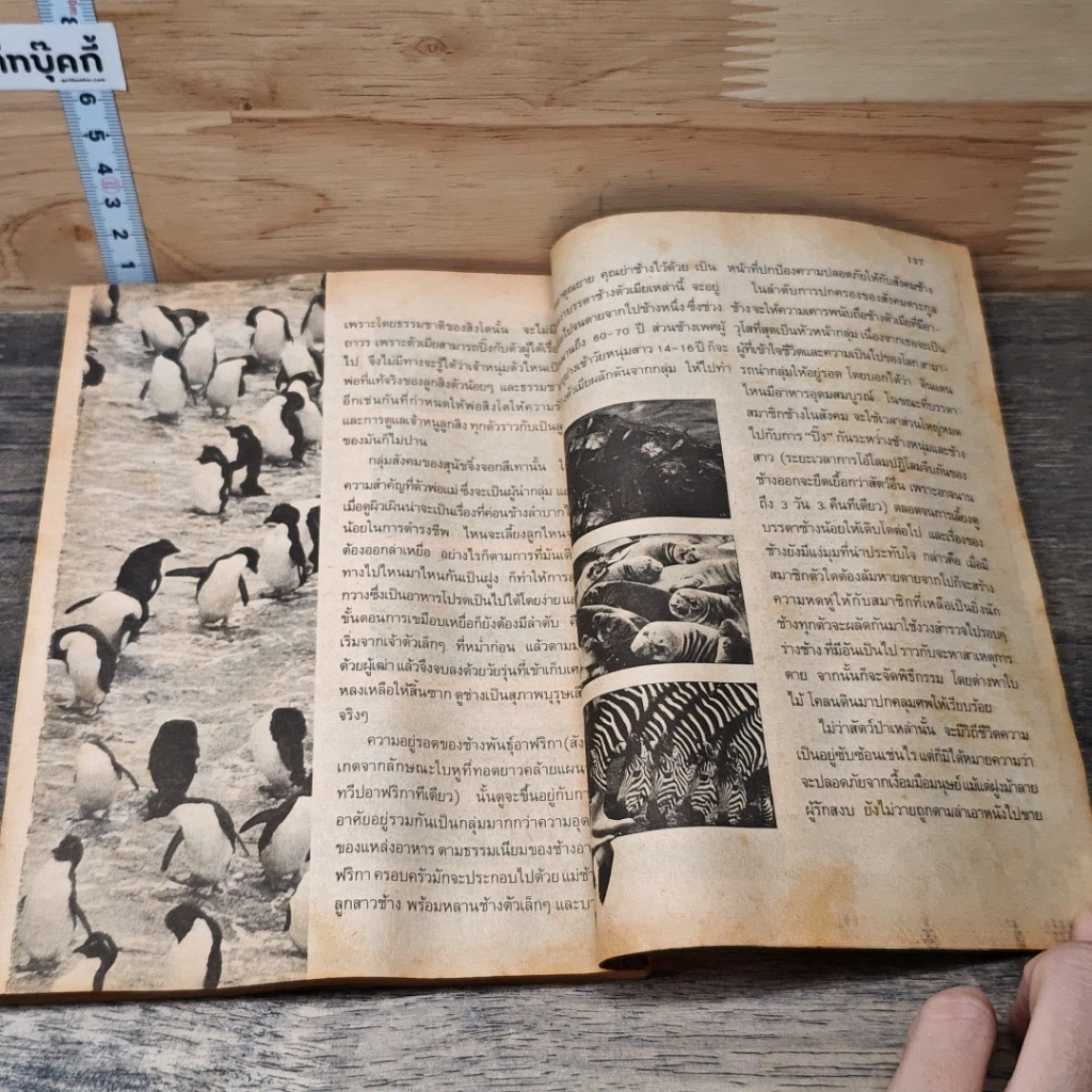 หนังสือ นิมิตพิศวง ปีที่ 1 ฉบับที่ 3 รูปที่ 8