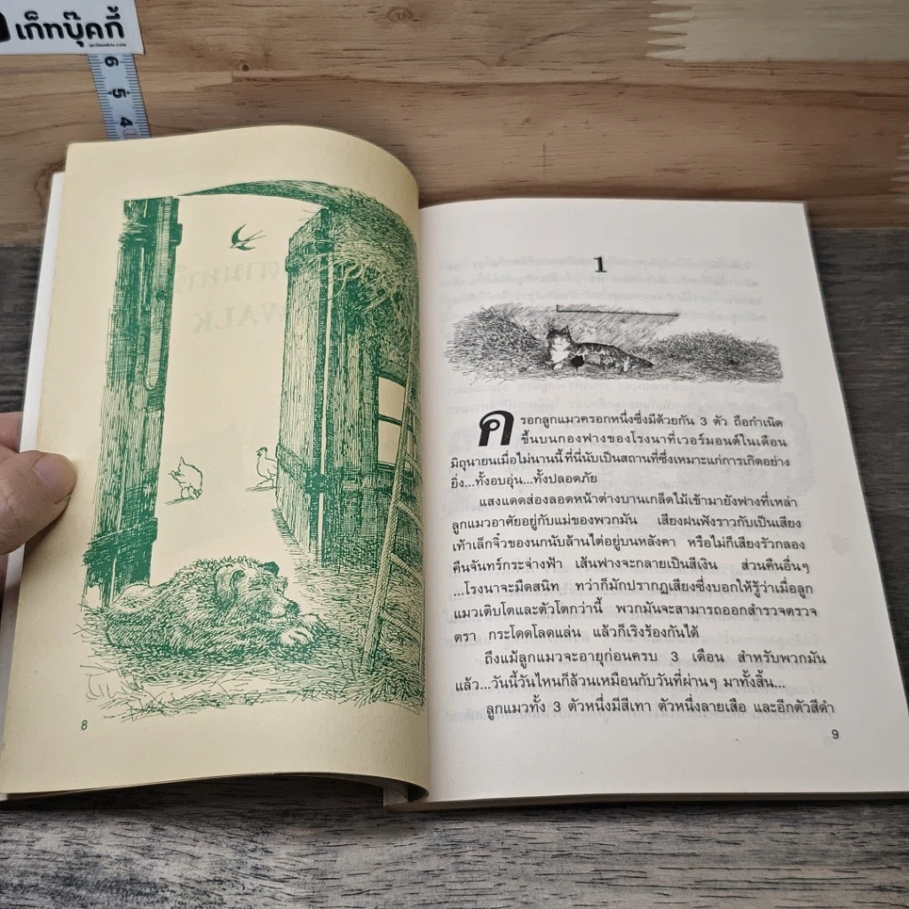 หนังสือ เหมียวน้อยตามหาชื่อ รูปที่ 7
