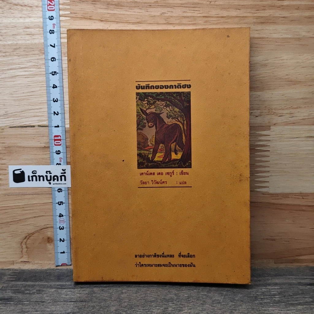 หนังสือ บันทึกของกาดิชง รูปที่ 1
