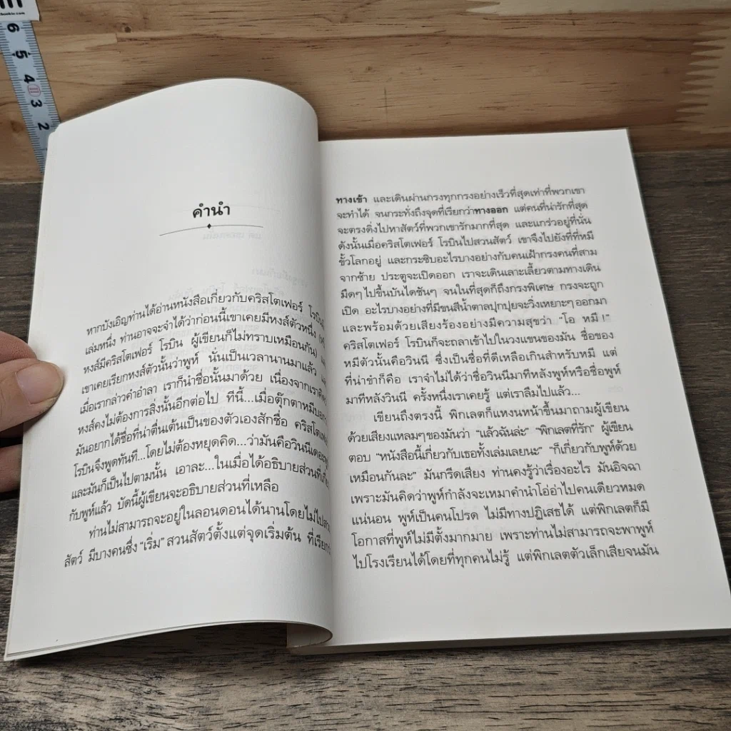 หนังสือ วินนี่เดอะพูห์ Winnie the Pooh รูปที่ 7