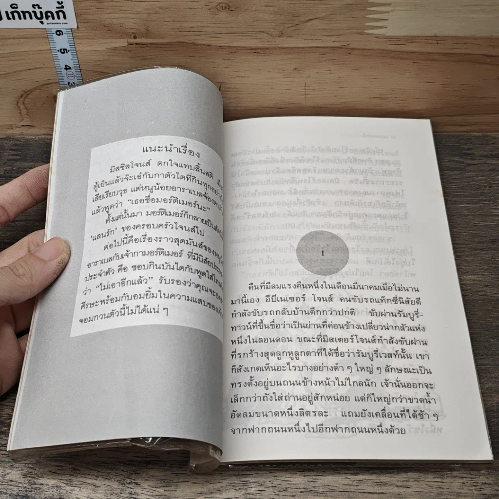 หนังสือ เจ้ากาจอมกวน ตอนเธอชื่อมอร์ติเมอร์นะ รูปที่ 7