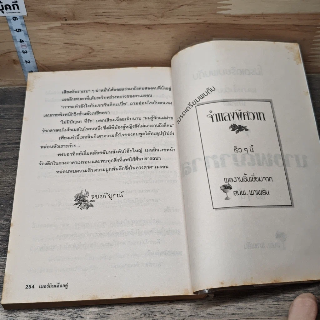 หนังสือ เมอลินเลือกคู่ รูปที่ 8