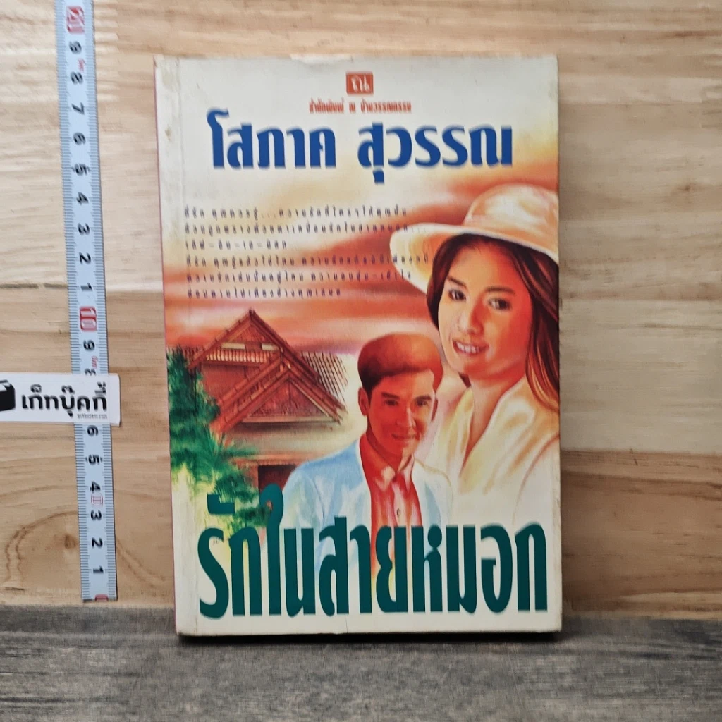หนังสือ รักในสายหมอก เล่ม 1 รูปที่ 1