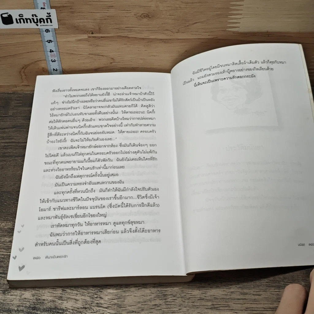 หนังสือ เห็นจะเป็นเพราะรัก รูปที่ 8