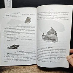 หนังสือ ทรัพยากรปริทัศน์ของไทย รูปที่ 9