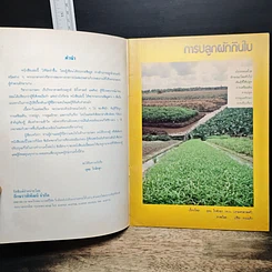 หนังสือ การปลูกผักกินใบ รูปที่ 6